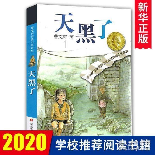 超星战舰队